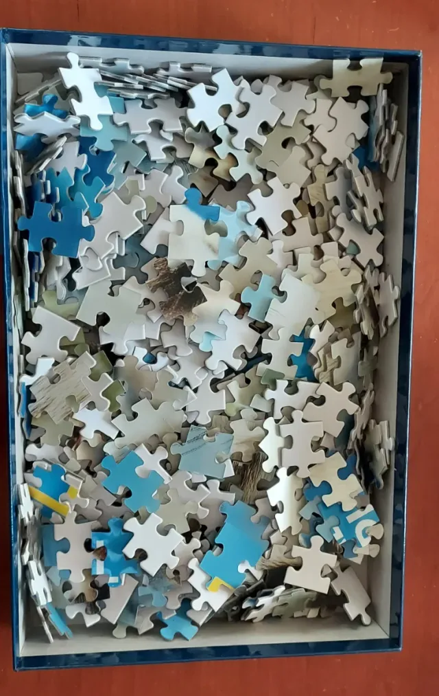 Puzzle 3D National Geographic Harp Seal