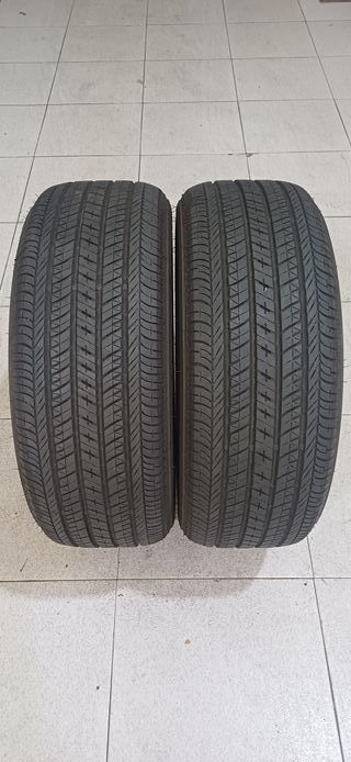 Bridgestone Turanza EL450 225/50 R18 95V