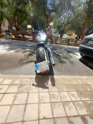 Yamaha Drag Star Custom Gris