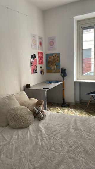 Peluche zebra e orso