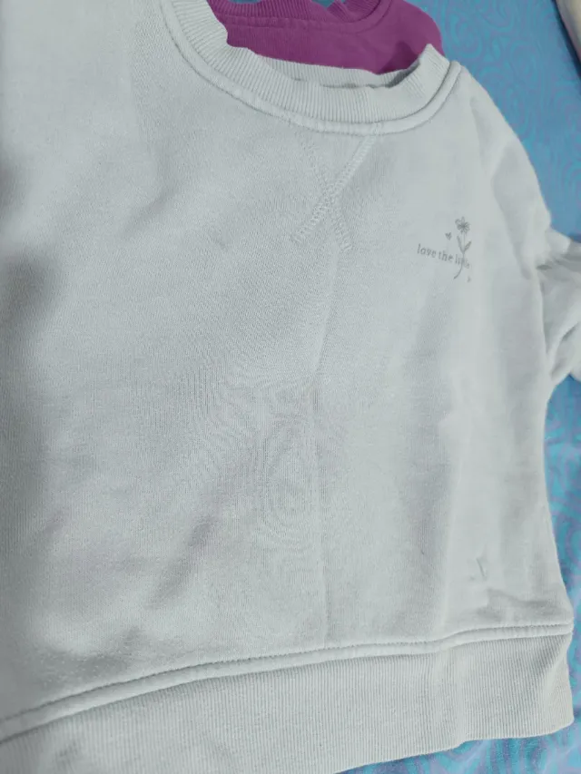 Lote 5 sudaderas infantiles