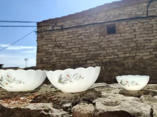 Juego 3 ensaladeras margaritas