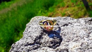 Anillo Plata 925 Tricolor