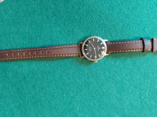 Reloj Radiant 17 Rubis Incabloc