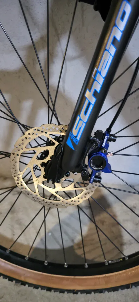 Bicicleta Eléctrica Schiano e-Braver