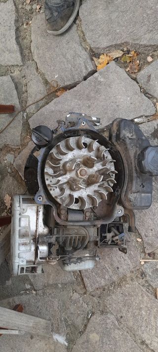 Motore per tagliaerba