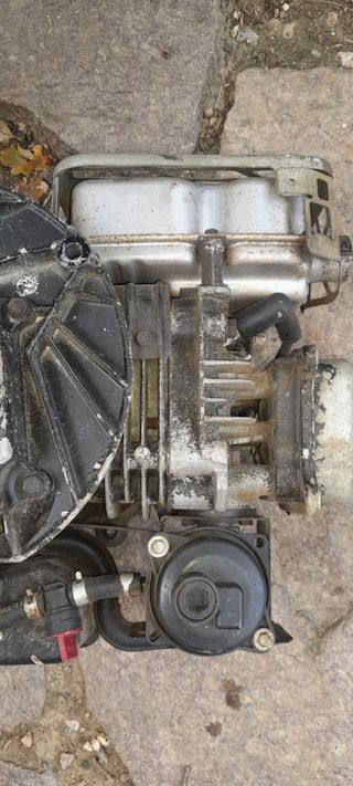 Motore per tagliaerba