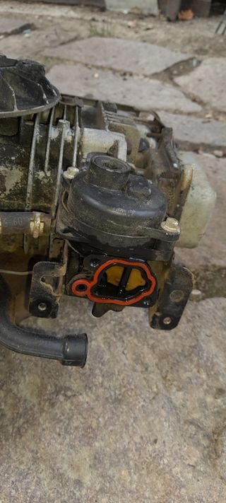 Motore per tagliaerba