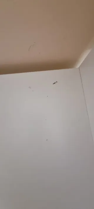 TROFAST IKEA 