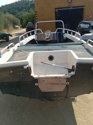 Lancha Open Rio 4.50