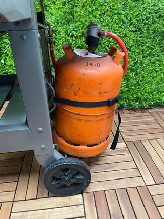 Barbacoa de gas Weber Spirit II