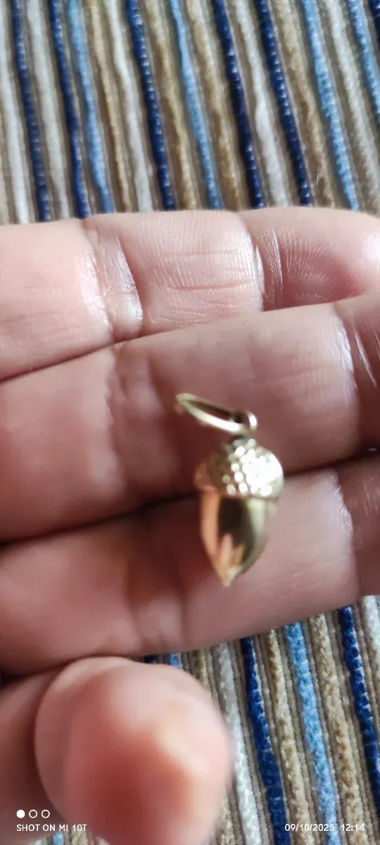 Colgante Bellota Suerte Oro