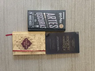 Set Harry Potter: Artes Oscuras y Mapa del Merodea