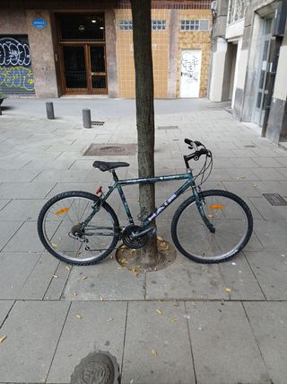 Bicicleta Shimano Rock Hair