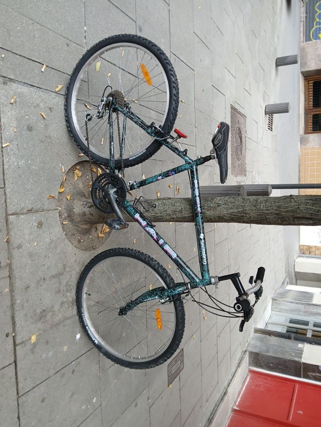 Bicicleta Shimano Rock Hair