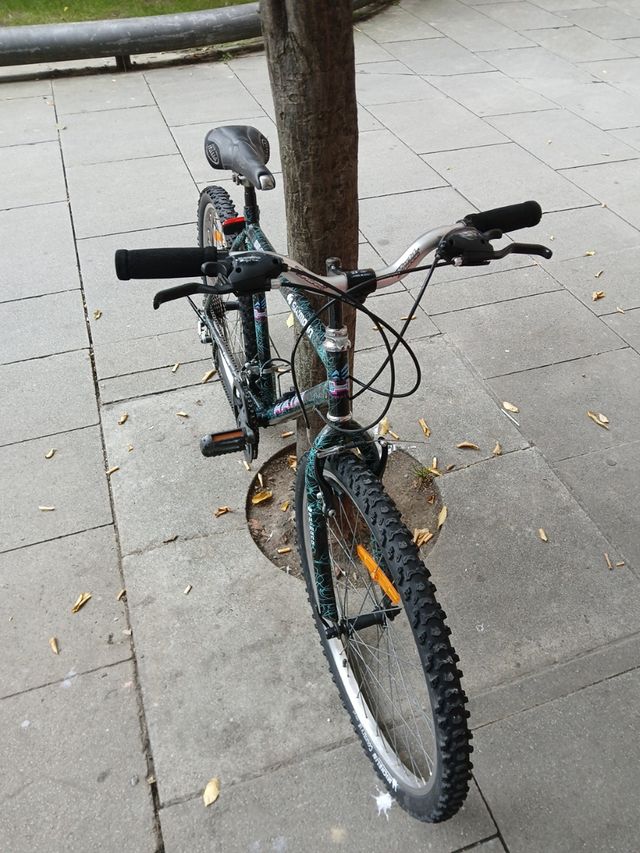 Bicicleta Shimano Rock Hair