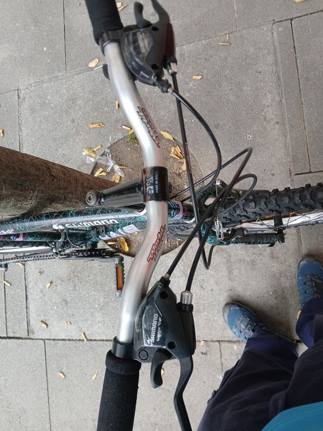 Bicicleta Shimano Rock Hair