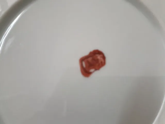 Juego 14 Platos Postre Macao Años 50 Porcelana