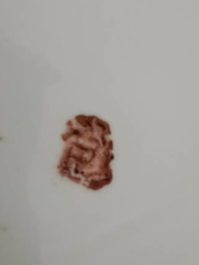 Juego 14 Platos Postre Macao Años 50 Porcelana