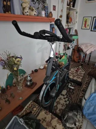 Bicicleta Estática Spinning Cecotec