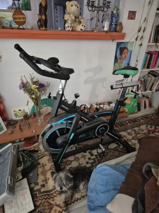 Bicicleta Estática Spinning Cecotec