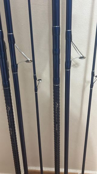 Daiwa Primer Caster Cañas de Pescar