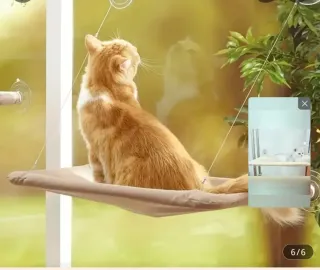 Cama para gato colgante