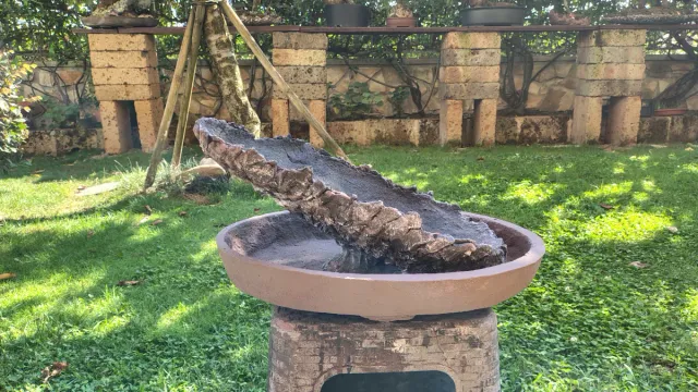 Struttura laghetto/cascata bonsai