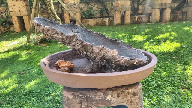 Struttura laghetto/cascata bonsai