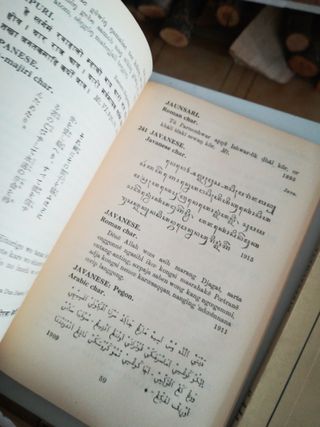 Lote de libros para Ben