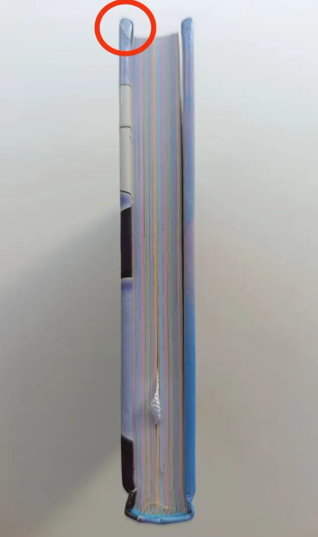 Pretty cure diario scuola