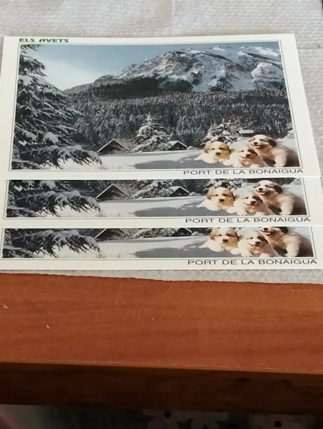 Postales El Avets Port de la Bonaigua