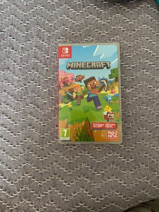 Minecraft Nintendo Switch