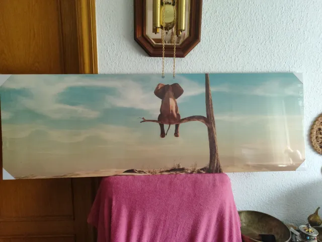 Cuadro Elefante Sentado en Rama