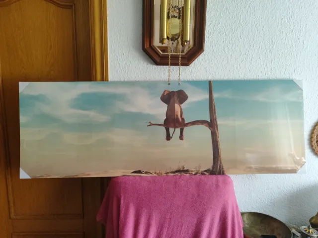 Cuadro Elefante Sentado en Rama