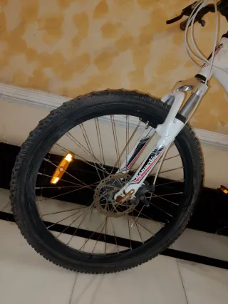 Bici blanca'acero. Coluer Adulto Hidraulicos. Ler