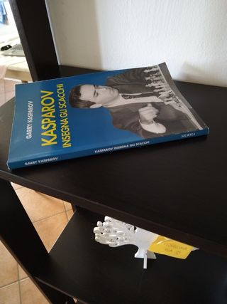 Kasparov insegna gli scacchi (Biblioteca dei gi...