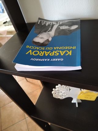 Kasparov insegna gli scacchi (Biblioteca dei gi...