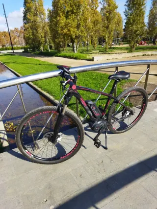 Bici Eléctrica 29