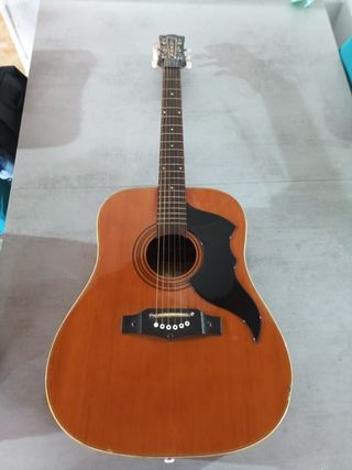 Guitarra eko original