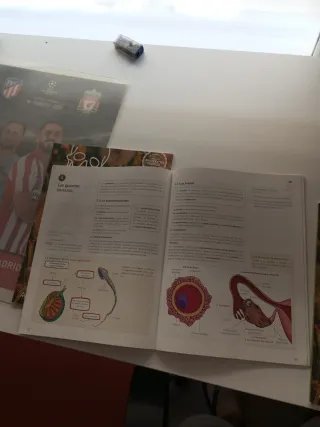 Libros Biología y Geología 3°ESO Anaya 