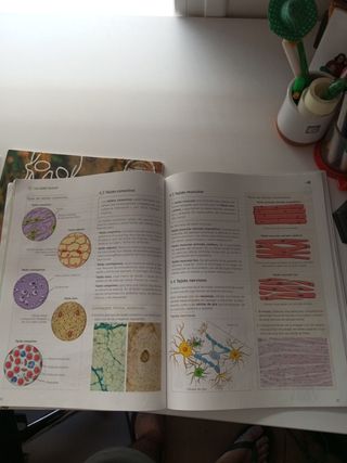 Libros Biología y Geología 3°ESO Anaya 