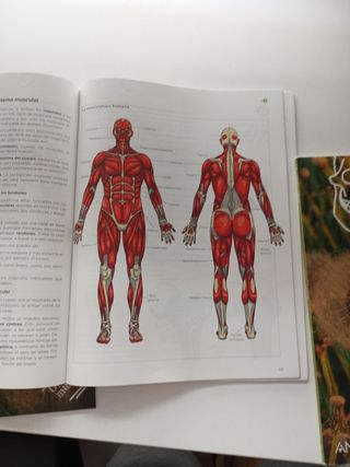 Libros Biología y Geología 3°ESO Anaya 