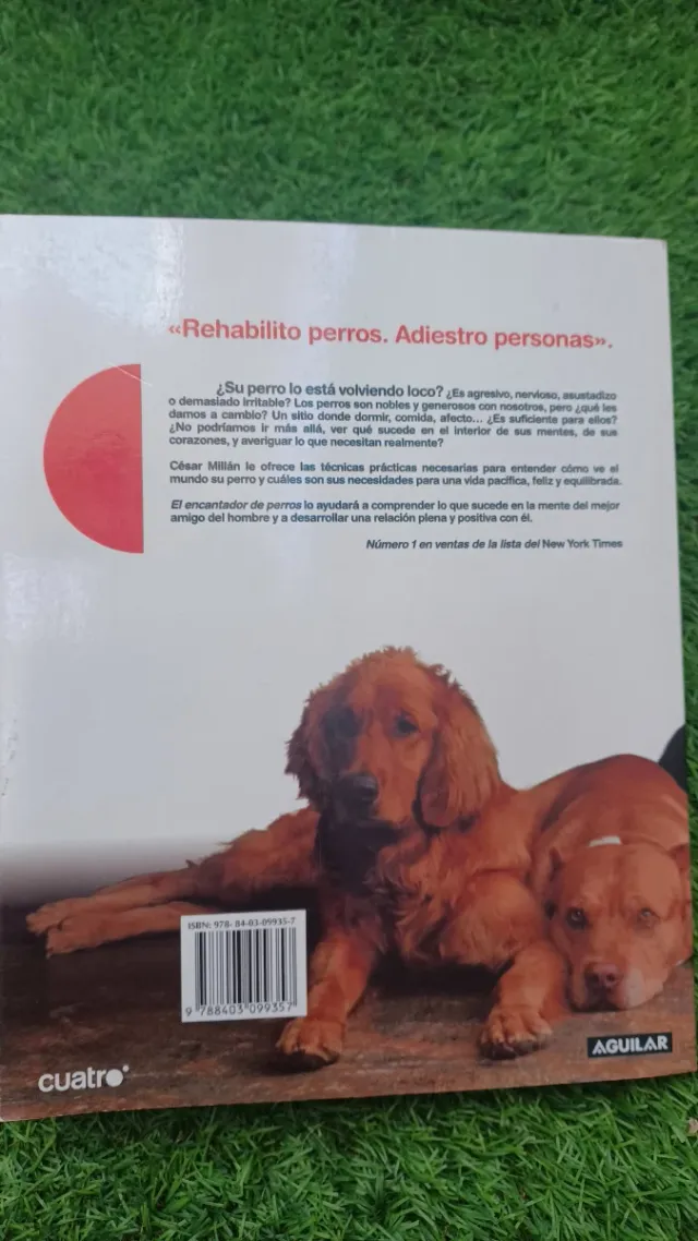 El encantador de perros