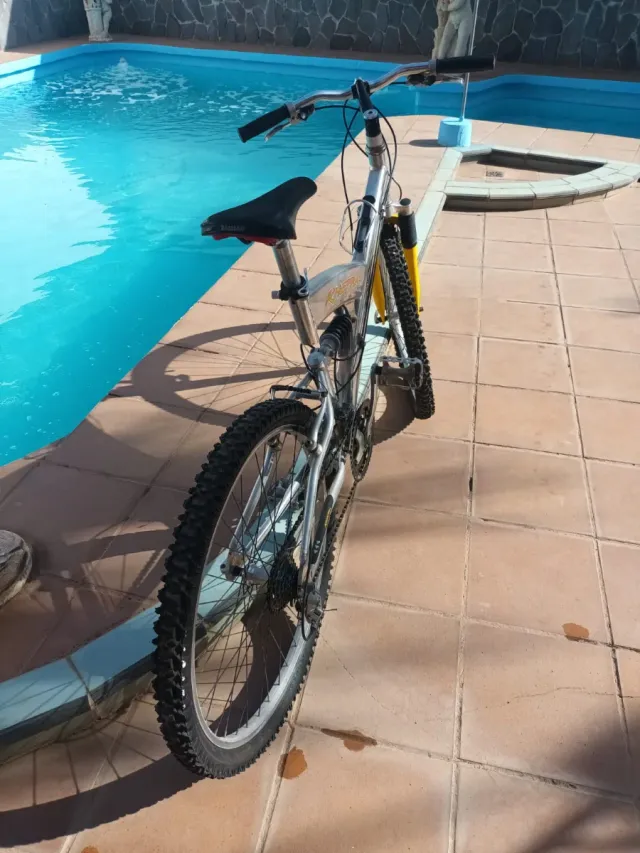 Bicicleta de montaña