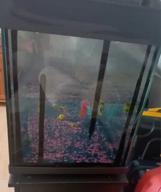 Acuario / Pecera 200L + Mueble