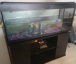 Acuario / Pecera 200L + Mueble