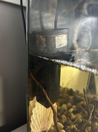Acuario 15L Negro Transparente