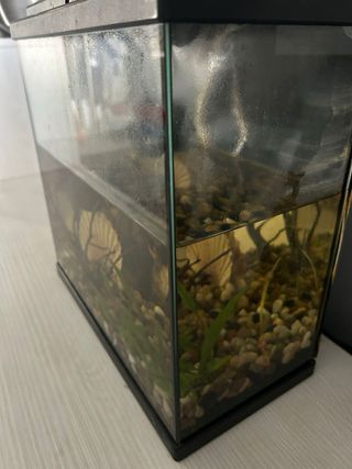 Acuario 15L Negro Transparente