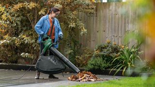 Aspirador/soplador de hojas eléctrico Bosch
